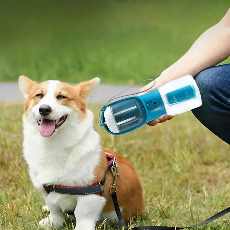409128a19ea772be48a6dda37d30c79b